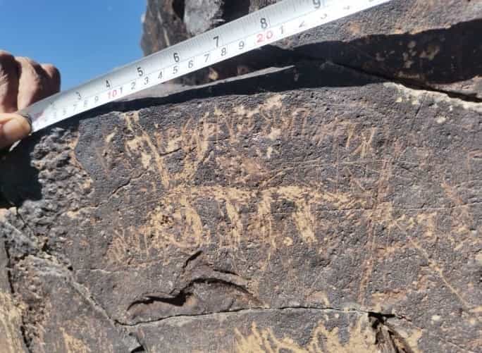 الشرعي موكل 3